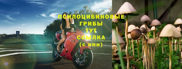 мескалин Балахна