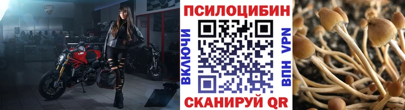 Галлюциногенные грибы прущие грибы  цена наркотик  Заречный 